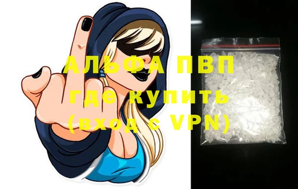 крисы Богородицк