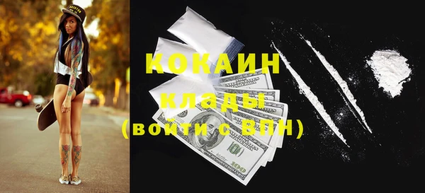 крисы Богородицк