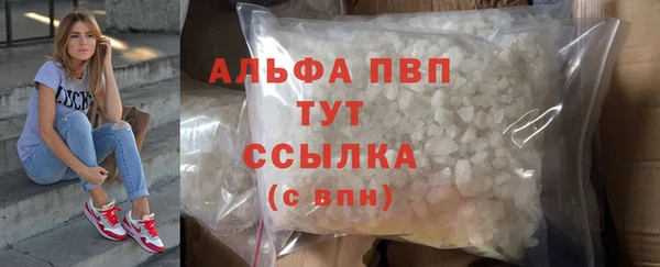 крисы Богородицк