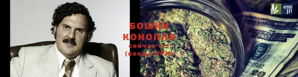 крисы Богородицк