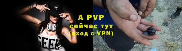 крисы Богородицк