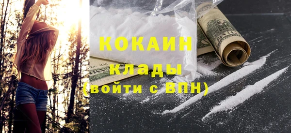 крисы Богородицк