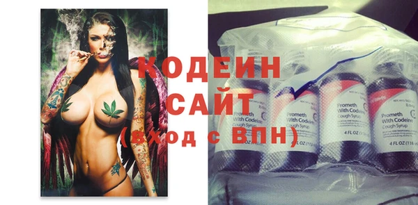 крисы Богородицк