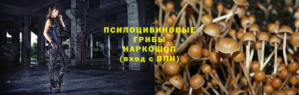 спайс Богородск