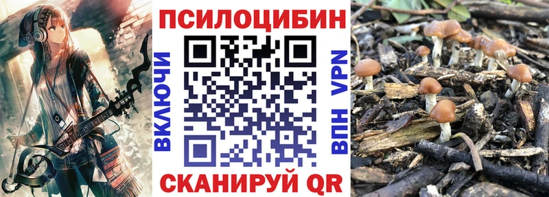 хочу наркоту  Каменск-Шахтинский  Псилоцибиновые грибы мухоморы 